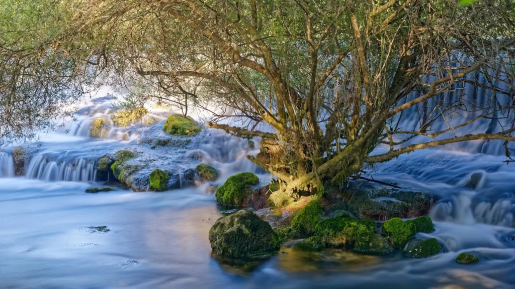 Cascades de la Sorgue 1