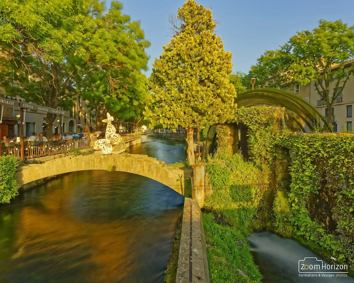 PONT DU PAPILLON ET ROUE L'ISLE-SUR-LA-SORGUE