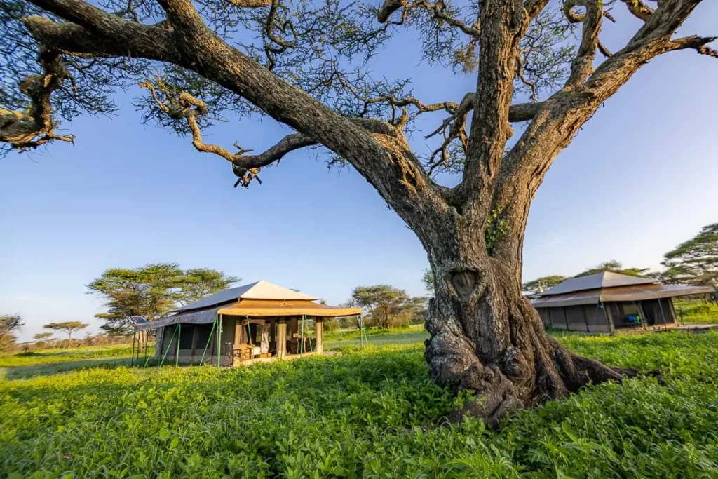 voyage photo tanzanie hebergement nature