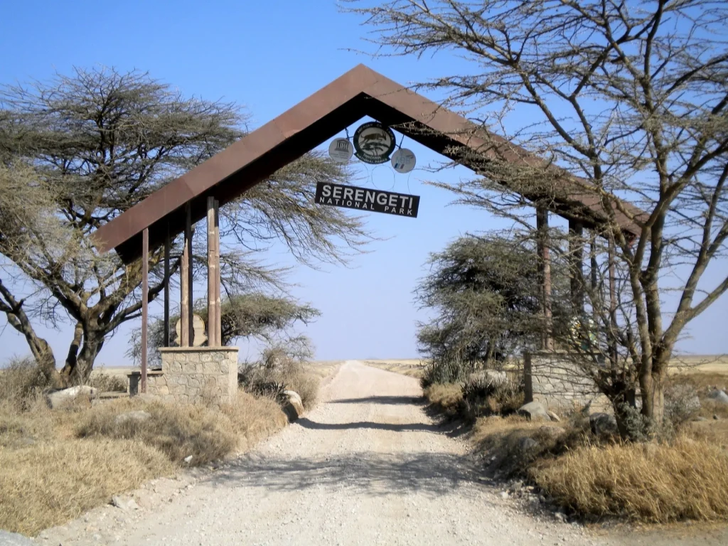 voyage photo tanzanie parc national serengeti